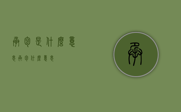 承包是什么意思（承包 什么意思）