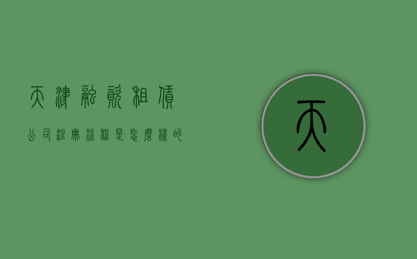 天津融资租赁公司注册流程是怎么样的（天津融资租赁监管办法）
