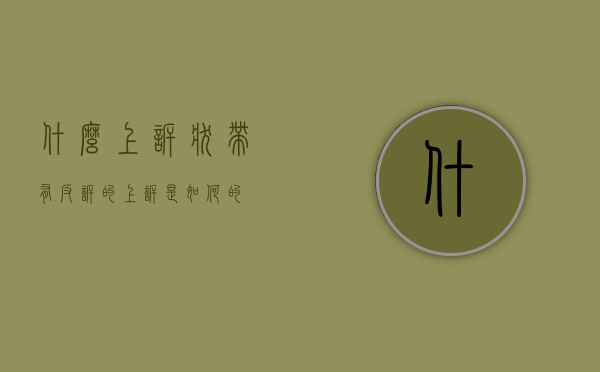 什么上诉状（带有反诉的上诉是如何的）