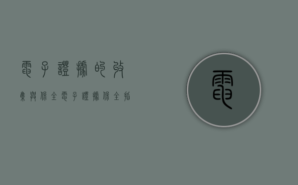 电子证据的收集与保全（电子证据保全指导意见）