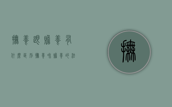 抚养跟赡养有什么区别（抚养和赡养的法律区别）
