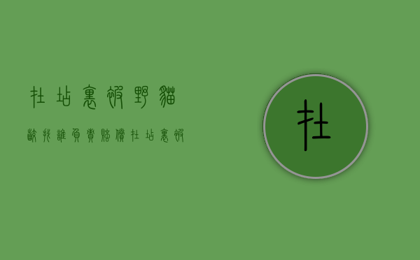 在店里被野猫咬找谁负责赔偿（在店里被野猫咬找谁负责处理）