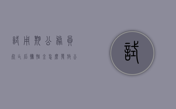 试用期公务员死亡后抚恤金怎么发放（公务员试用期过后会补发工资吗）