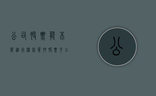 公司股票能不能进行权利质押（股票可以质押贷款吗）