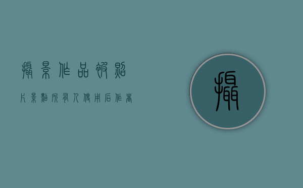 摄影作品被照片景点所有人使用后作者提出天价索赔案代理意见（摄影作品被商用侵权吗怎么办）