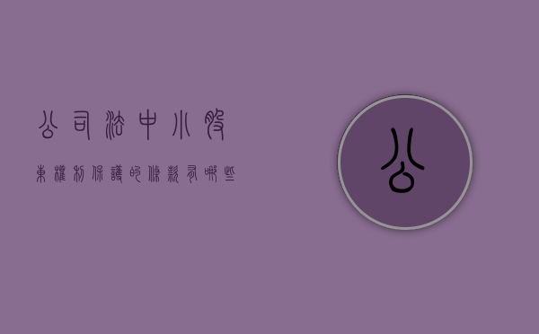 公司法中小股东权利保护的条款有哪些（小股东权益的法律保护机制）