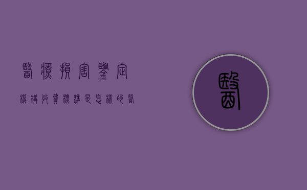 医疗损害鉴定机构收费标准是怎样的？（医疗损害鉴定技术指引观后感）