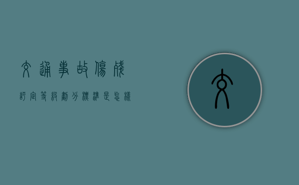 交通事故伤残评定等级划分标准是怎样的
