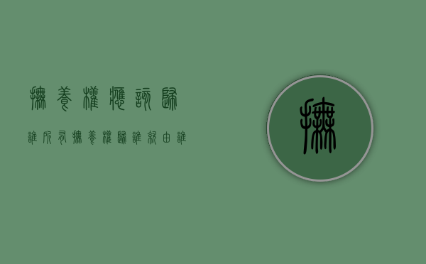 抚养权应该归谁所有（抚养权归谁就由谁承担抚养费）