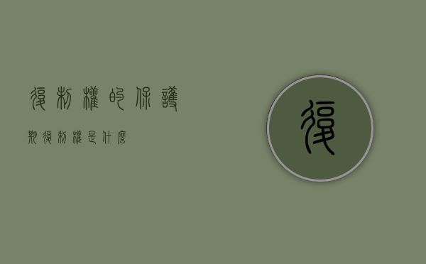复制权的保护期（复制权是什么）