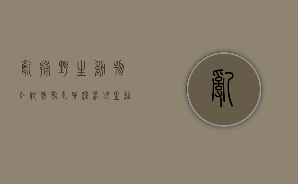 乱捕野生动物如何处罚（乱捕滥杀野生动物）