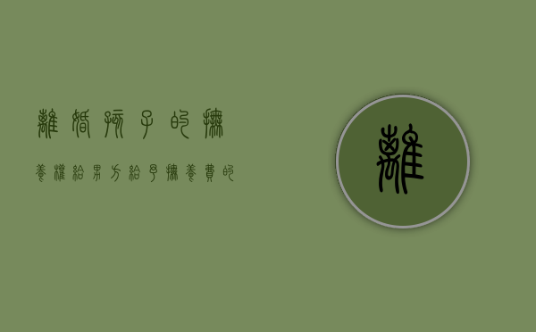 离婚孩子的抚养权给男方,给予抚养费的原则是什么（离婚给子女抚养费给多久有效）