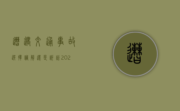 遭遇交通事故选择调解还是诉讼（2024车祸赔偿明细一览表65岁）