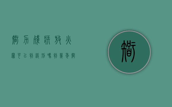 智力残疾放火罪可以判缓刑吗判几年（智力残疾人放火）