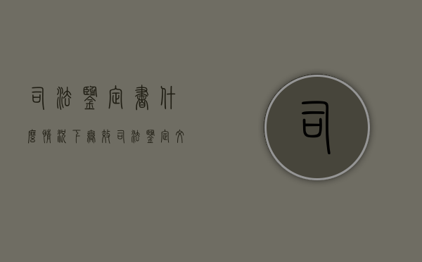 司法鉴定书什么情况下无效？（司法鉴定文书无效的法律规定）