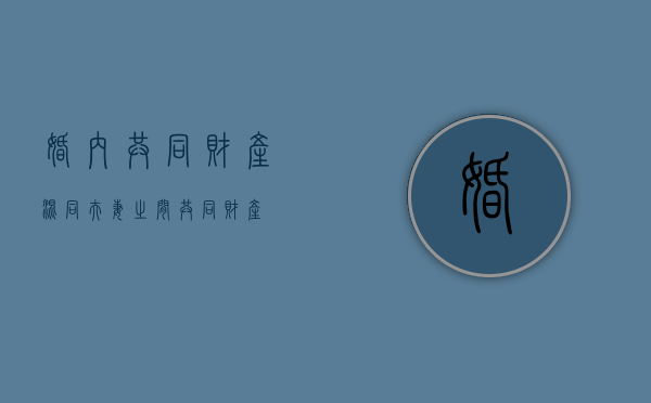 婚内共同财产混同（夫妻之间共同财产）
