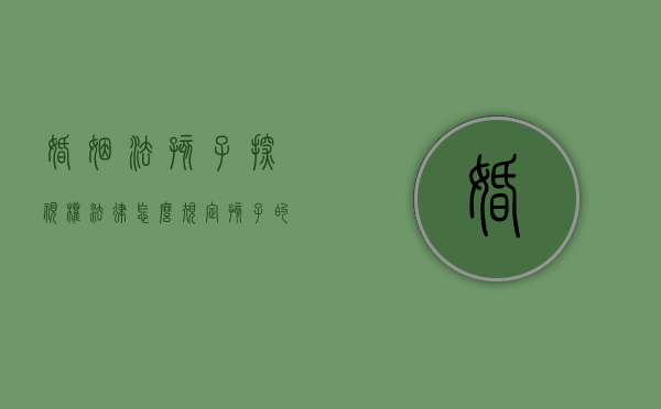 婚姻法孩子探视权（法律怎么规定孩子的探视权的）