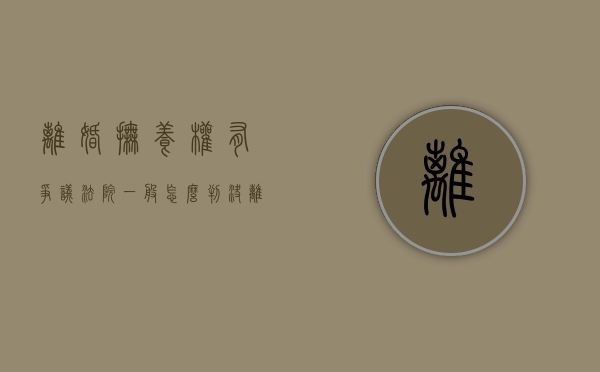 离婚抚养权有争议法院一般怎么判决（离婚抚养权纠纷律师）