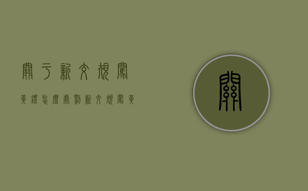 关于新交规闯黄灯怎么处罚（新交规闯黄灯如何处罚）