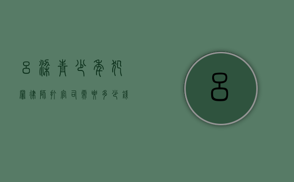 吕梁青少年犯罪律师打官司需要多少钱（2020青少年犯罪案例视频）