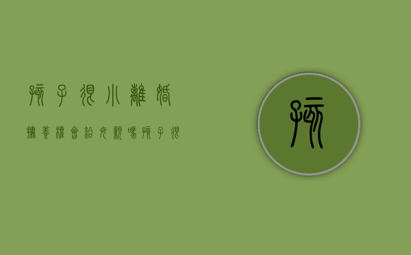 孩子很小离婚抚养权会给母亲吗（孩子很小离婚长大还会认我吗）