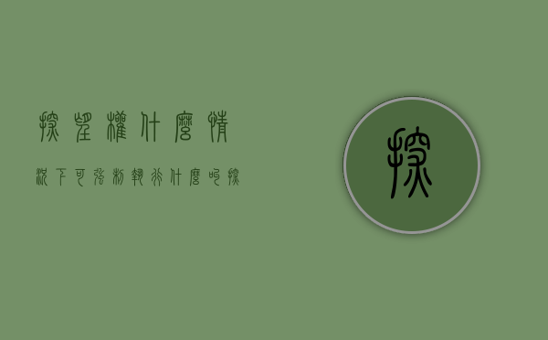 探望权什么情况下可强制执行（什么叫探望权的执行）