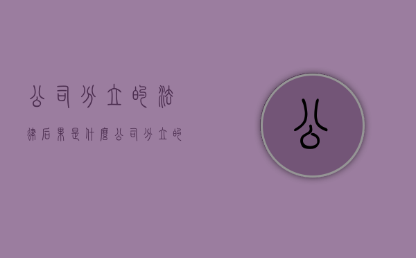 公司分立的法律后果是什么（公司分立的流程概况）