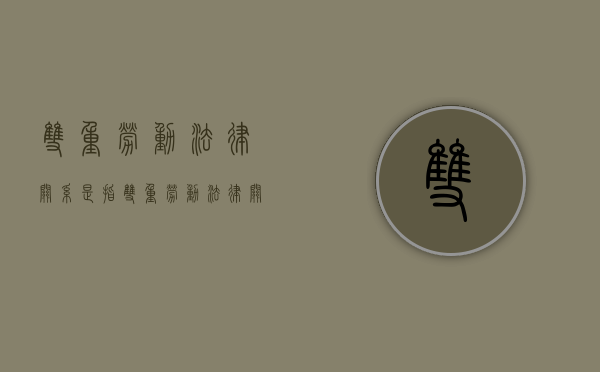 双重劳动法律关系是指（双重劳动法律关系的案例）