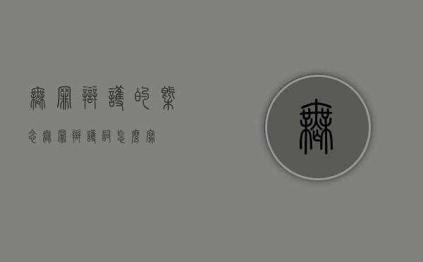 无罪辩护的概念（无罪辩护词怎么写）