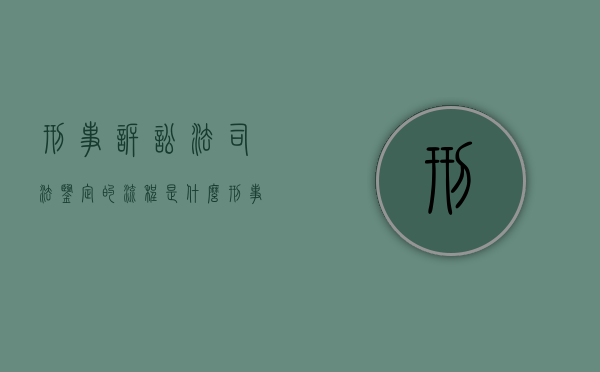 刑事诉讼法司法鉴定的流程是什么（刑事案件司法鉴定规则）