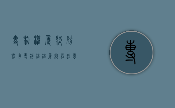 专利权属纠纷程序（专利权权属纠纷注意的问题）