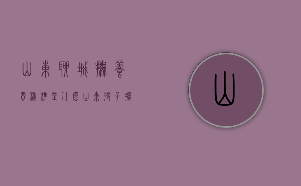山东聊城抚养费标准是什么？（山东孩子抚养费农村标准）