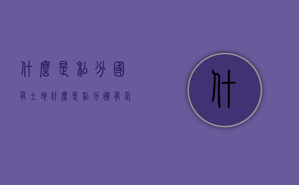 什么是私分国有土地（什么是私分国有企业）