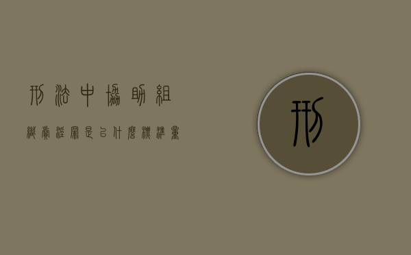 刑法中协助组织卖淫罪是以什么标准量刑的（刑法中协助组织的规定）