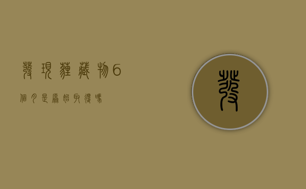 发现埋藏物6个月是原始取得吗