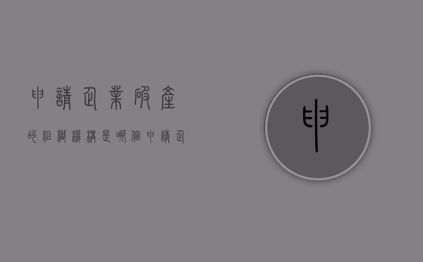 申请企业破产的组织机构是哪个（申请企业破产的组织机构是哪个部门负责）