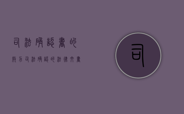 司法确认书的效力（司法确认的法律文书）
