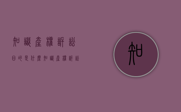 知识产权诉讼目的是什么（知识产权诉讼目的是什么意思）
