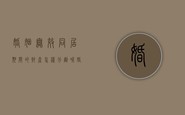 婚姻无效同居期间的财产怎样分割呢（婚姻无效同居期间的财产怎样分割出来）