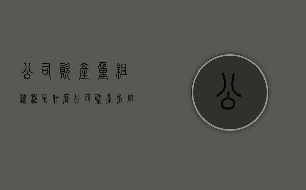 公司资产重组流程是什么（公司资产重组流程怎么写）