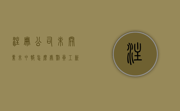 注册公司未开业,未申报怎么处罚员工（新注册公司未营业如何报税）