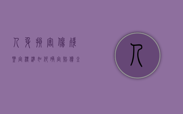 人身损害伤残鉴定标准如何确定赔偿金额（人身损害伤残鉴定标准表）