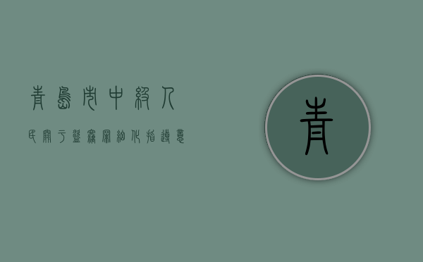 青岛市中级人民关于盗窃罪细化指导意见（青岛盗窃案视频播放）