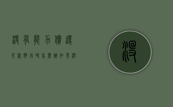 没有能力偿还欠款,执行时怎么办（如果没有能力偿还债务）
