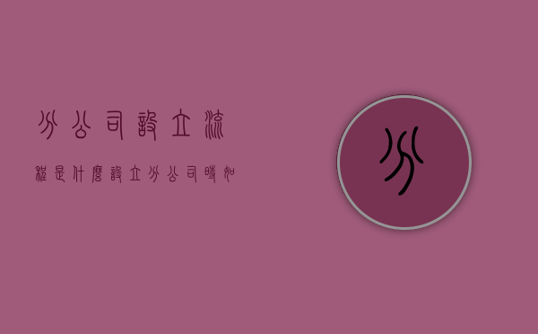 分公司设立流程是什么？（设立分公司时,如何申请设立登记?）