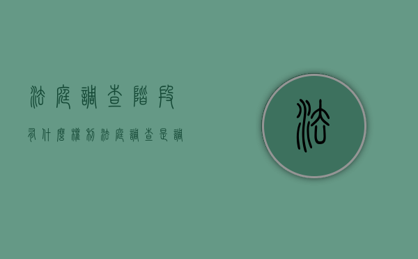法庭调查阶段有什么权利（法庭调查是调查什么）