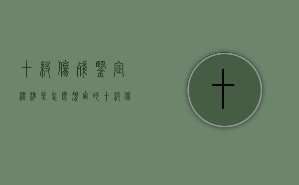 十级伤残鉴定标准是怎么规定的（十级伤残鉴定严重吗）