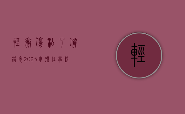 轻微伤私了价格表2023（小孩在学校受伤谁来承担赔偿责任怎么写）