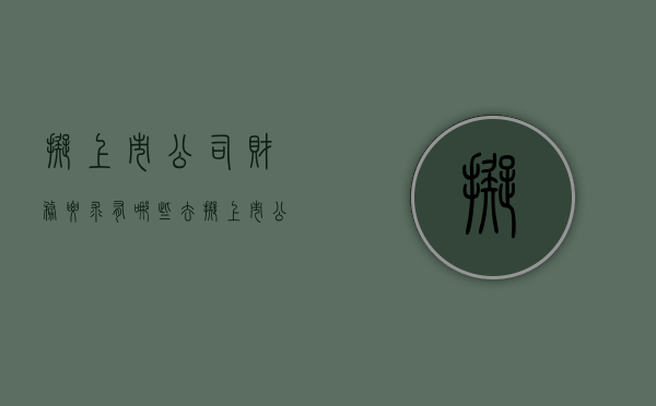 拟上市公司财务要求有哪些（去拟上市公司做财务）