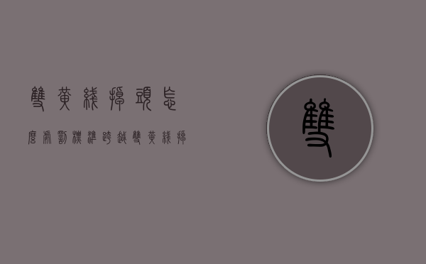 双黄线掉头怎么处罚标准（跨越双黄线掉头怎么处罚）